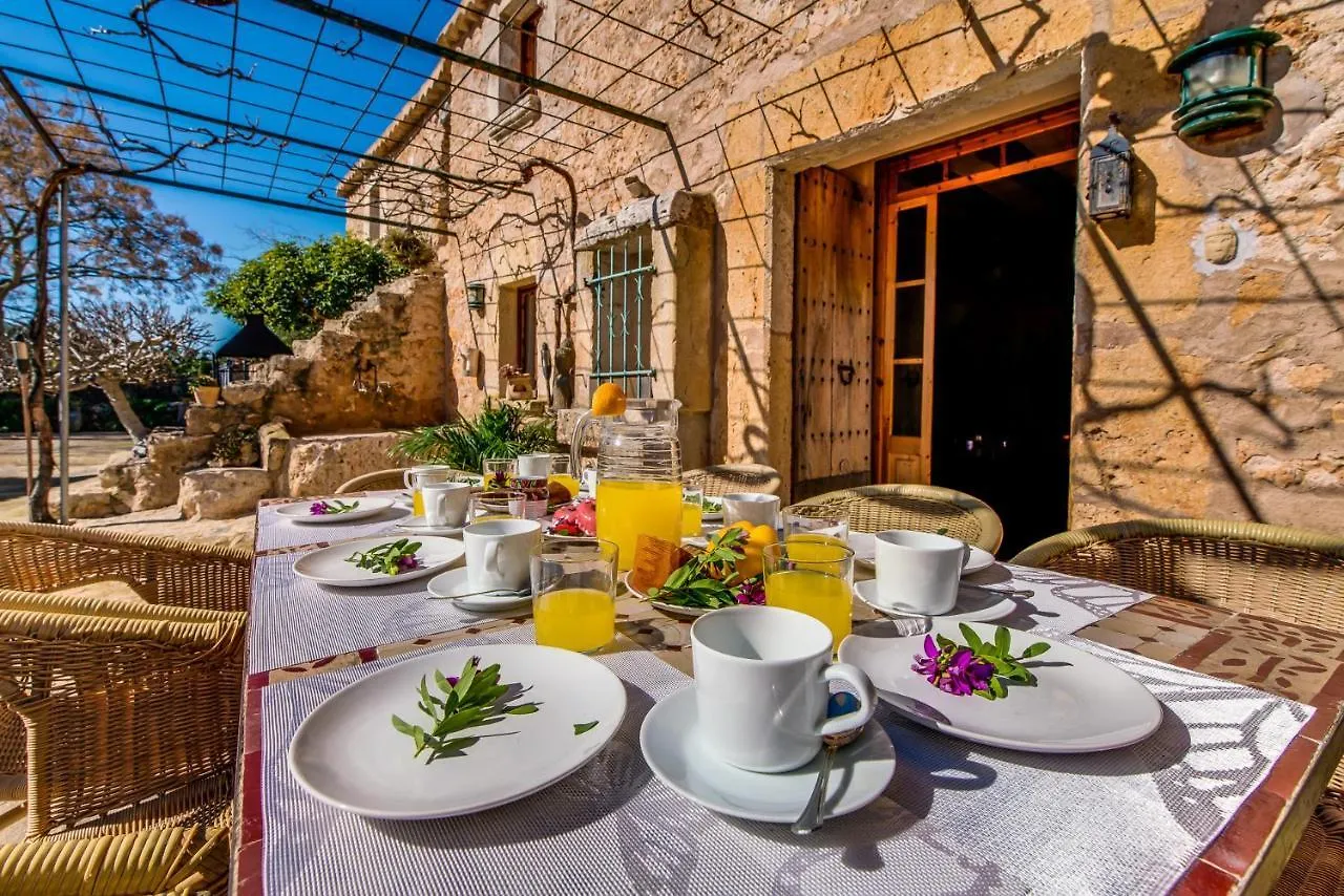 Ideal Property Mallorca - Can Maria Costitx  Kır Evi