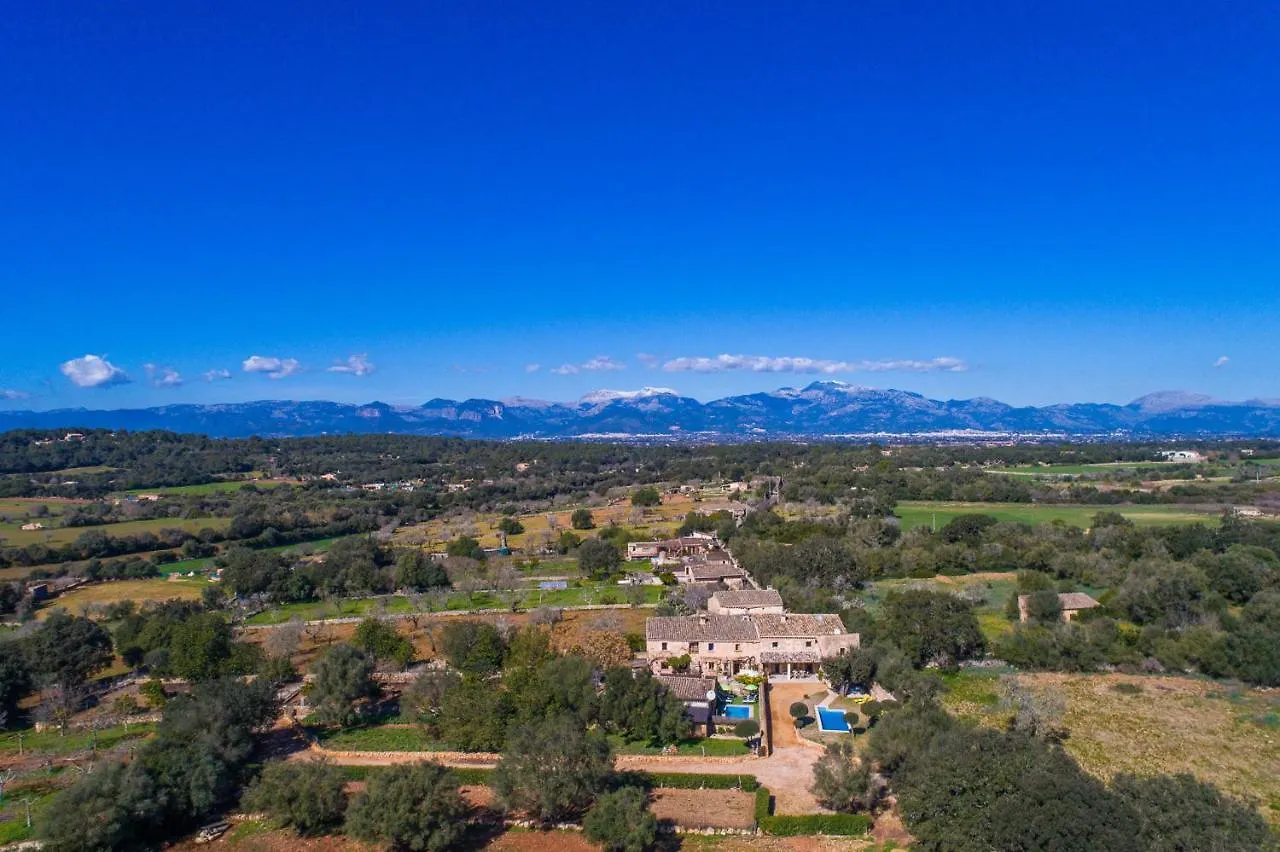Ideal Property Mallorca - Can Maria Costitx  0*, Costitx (Mallorca) Spain